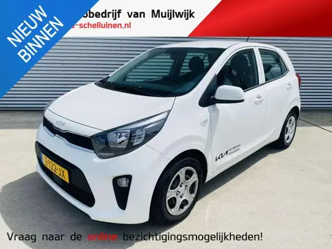 Used KIA PICANTO Petrol 2024 Ad 