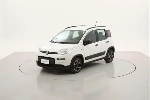 Used FIAT PANDA Hybrid 2022 Ad 