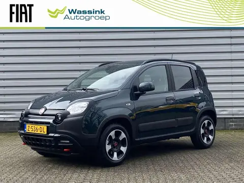 Used FIAT PANDA Hybrid 2024 Ad 