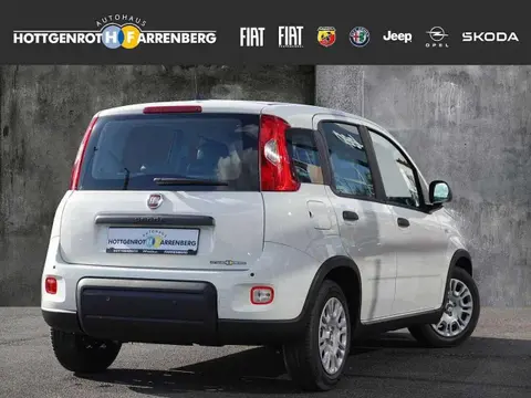 Annonce FIAT PANDA Essence 2024 d'occasion 