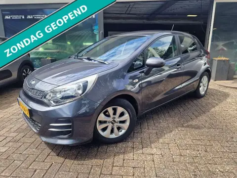 Used KIA RIO Petrol 2016 Ad 