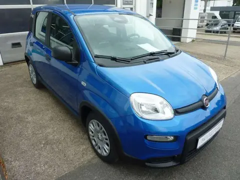 Used FIAT PANDA Petrol 2024 Ad 