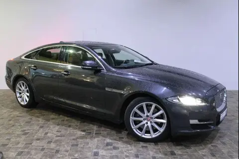 Used JAGUAR XJ Diesel 2017 Ad 