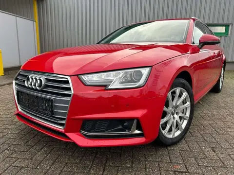 Used AUDI A4 Diesel 2019 Ad 