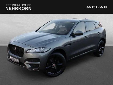 Used JAGUAR F-PACE Diesel 2018 Ad 