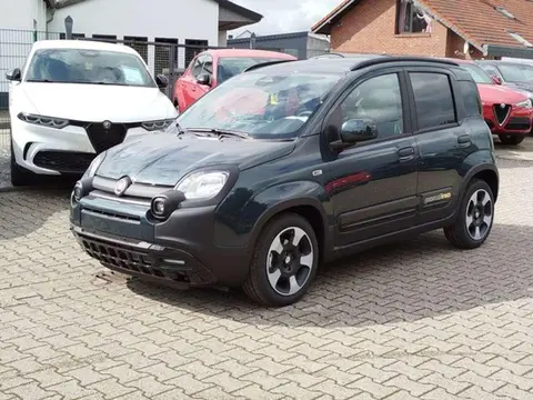 Annonce FIAT PANDA Essence 2024 d'occasion 