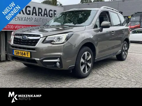 Annonce SUBARU FORESTER Essence 2017 d'occasion 