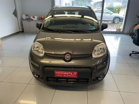 Used FIAT PANDA LPG 2023 Ad 