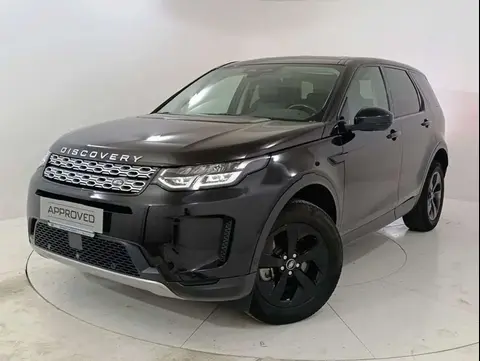 Used LAND ROVER DISCOVERY Hybrid 2021 Ad 