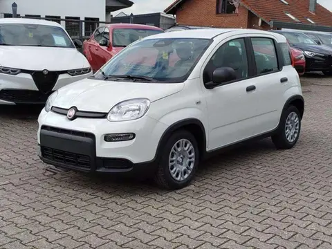 Used FIAT PANDA Petrol 2024 Ad 