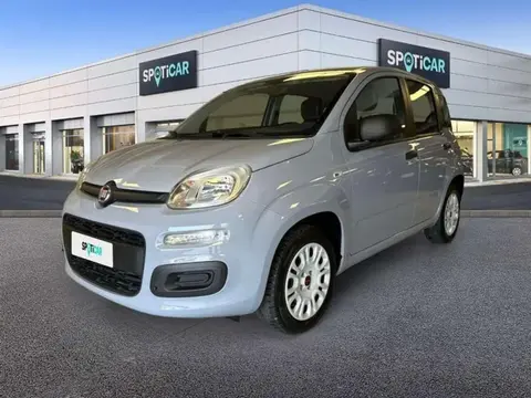 Used FIAT PANDA LPG 2019 Ad 