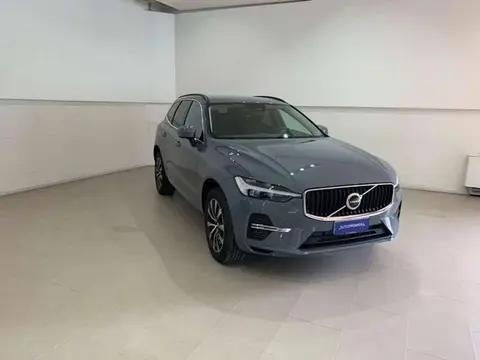 Used VOLVO XC60 Hybrid 2024 Ad 