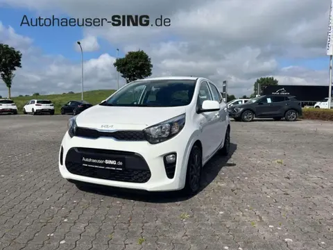 Used KIA PICANTO Petrol 2024 Ad 