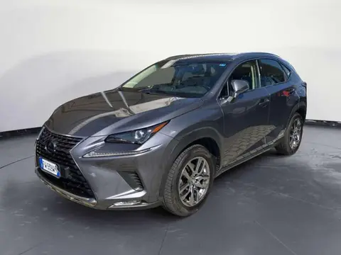 Annonce LEXUS NX Hybride 2019 d'occasion 