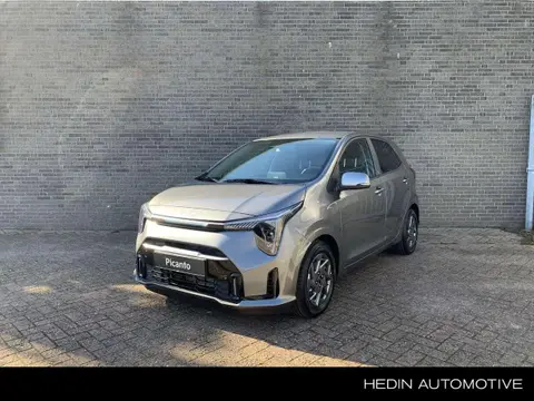 Used KIA PICANTO Petrol 2024 Ad 