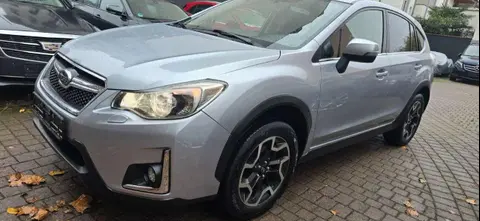 Annonce SUBARU XV Diesel 2017 d'occasion 