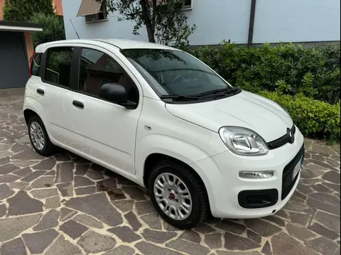 Annonce FIAT PANDA Essence 2019 d'occasion 