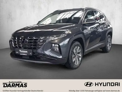 Used HYUNDAI TUCSON Petrol 2024 Ad 