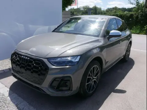 Used AUDI SQ5 Diesel 2024 Ad 