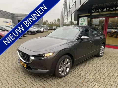 Annonce MAZDA CX-30 Hybride 2020 d'occasion 