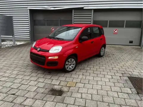 Used FIAT PANDA Petrol 2018 Ad 