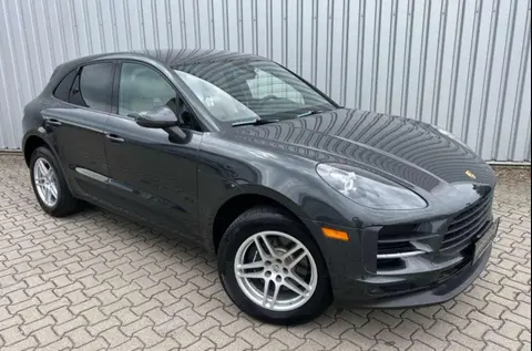 Annonce PORSCHE MACAN Essence 2024 d'occasion 