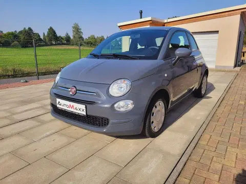 Used FIAT 500 Petrol 2020 Ad 