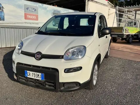 Used FIAT PANDA Hybrid 2023 Ad 