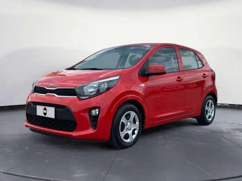 Annonce KIA PICANTO Essence 2021 d'occasion 