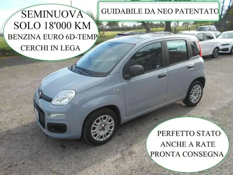 Used FIAT PANDA Petrol 2021 Ad 