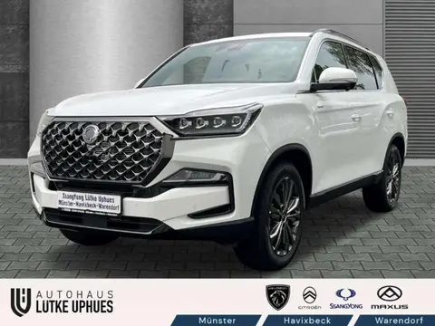 Annonce SSANGYONG REXTON Diesel 2024 d'occasion 