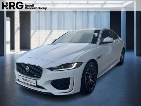 Annonce JAGUAR XE Diesel 2020 d'occasion 