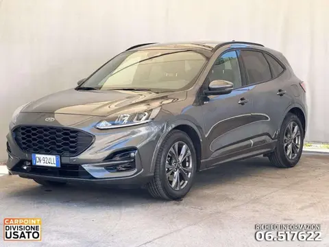 Used FORD KUGA Diesel 2023 Ad 