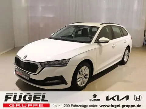 Used SKODA OCTAVIA Petrol 2021 Ad 