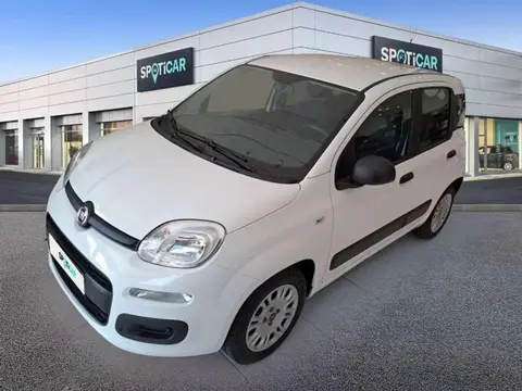 Annonce FIAT PANDA Essence 2020 d'occasion 