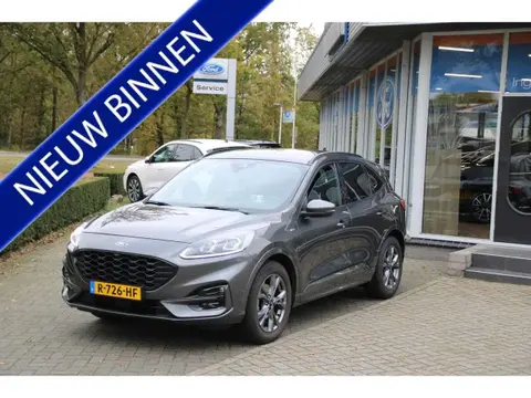 Used FORD KUGA Petrol 2021 Ad 