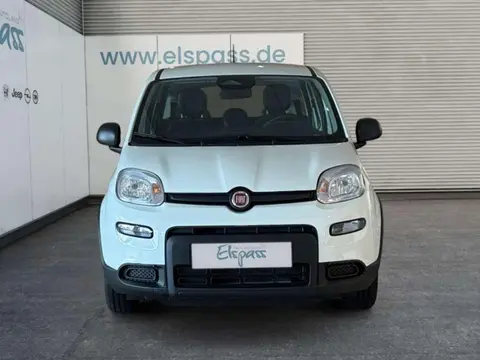 Used FIAT PANDA Petrol 2024 Ad 