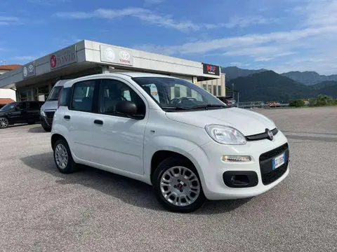 Annonce FIAT PANDA Hybride 2021 d'occasion 