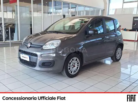 Used FIAT PANDA Hybrid 2020 Ad 