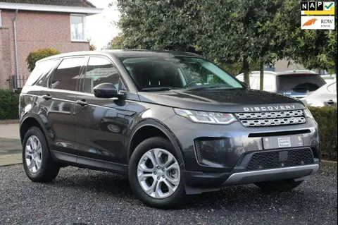 Used LAND ROVER DISCOVERY Hybrid 2021 Ad 