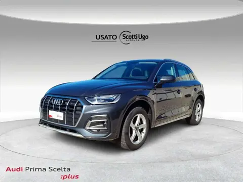 Used AUDI Q5 Hybrid 2021 Ad 