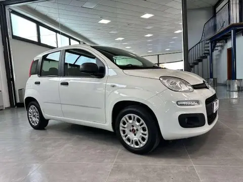 Used FIAT PANDA Petrol 2019 Ad 