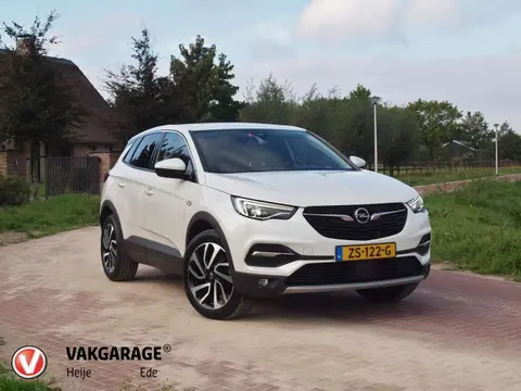 Annonce OPEL GRANDLAND Essence 2019 d'occasion 