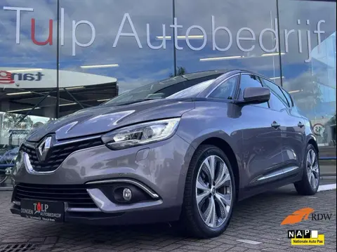 Annonce RENAULT SCENIC Essence 2019 d'occasion 