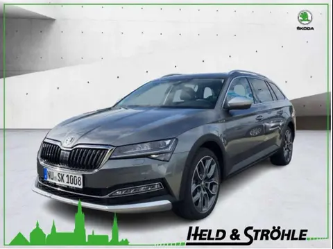 Annonce SKODA SUPERB Diesel 2024 d'occasion 