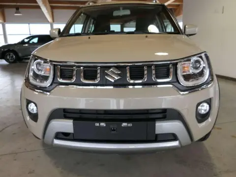 Annonce SUZUKI IGNIS Hybride 2020 d'occasion 