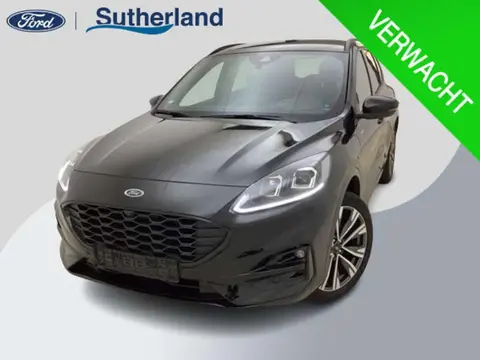 Used FORD KUGA Hybrid 2024 Ad 