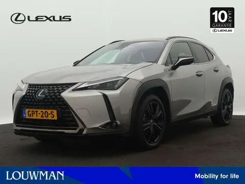 Annonce LEXUS UX Hybride 2021 d'occasion 