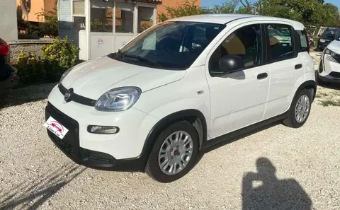 Used FIAT PANDA Hybrid 2023 Ad 