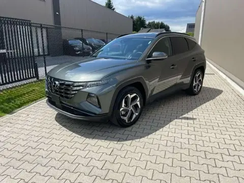 Annonce HYUNDAI TUCSON Hybride 2024 d'occasion 